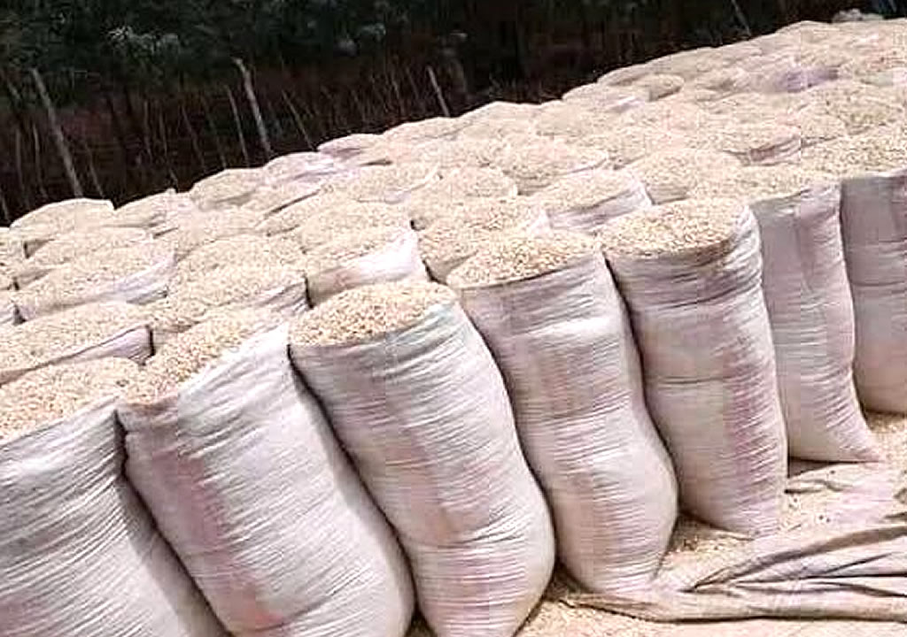 National Maize Corporation (NMC) Commercial Products 